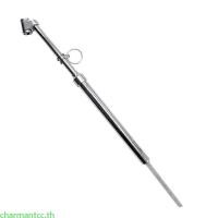 ราคา Charmantcc เครื่องวัดความดันเครื่องวัดความดันอากาศยาง 0 160PSI เครื่องวัดความดันรูปร่างปากกา (51500357479)