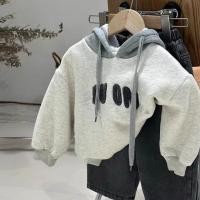 ราคา เสื้อคลุมเด็กชายสไตล์เกาหลี อินเทรนด์ สีเทา ตัดเย็บอย่างดี (56450498659)