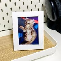 ราคา รับทำรูปใส่กรอบ 3 4 นิ้ว ส่งรูปมาทำได้เอง (28907729533)