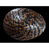 ราคา เบี้ยแก้เล็ก2ห่วง หลวงปู่เพิ่ม วัดกลางบางแก้ว จ นครปฐม (7964250454)