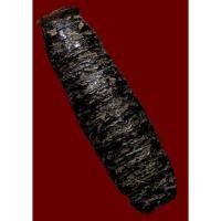 ราคา ตะกรุดชาตรี หนังหน้าผากเสือ หลวงปู่บุญ วัดกลางบางแก้ว (2328550814)