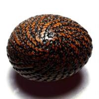 ราคา เบี้ยแก้2ห่วง หลวงปู่เพิ่ม วัดกลางบางแก้ว จ นครปฐม ถักเชือกลงรัก (1886393172)