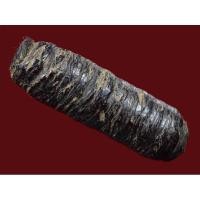 ราคา ตะกรุดหนังหน้าผากเสือ หลวงปู่บุญ วัดกลางบางแก้ว จ นครปฐม (6945035722)