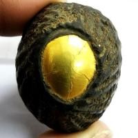 ราคา เบี้ยแก้ทองคำ หลวงปู่บุญ วัดกลางบางแก้ว จ นครปฐม แท้ (4639460381)