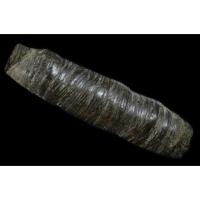 ราคา ตะกรุด หนังหน้าผากเสือ หลวงปู่บุญ วัดกลางบางแก้ว (1822141729)