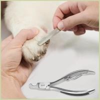 ราคา เครื่องตัดเล็บสุนัขเครื่องตัดสแตนเลสสําหรับงานหนักกรรไกรตัดเล็บลูกสุนัขสําหรับพันธุ์กลางขนาดใหญ่ Home Travel Pet fescantth (43924809443)