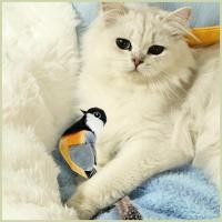 ราคา Bird Cat ของเล่นเกมยางกัดของเล่นแมว Catnip สําหรับผ่อนคลายเล่นเฟอร์นิเจอร์ป้องกันสําหรับลูกแมวลูกสุนัขในร่ม fescantth (57950351965)