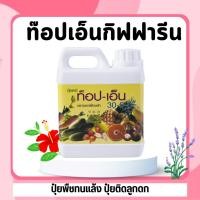 ราคา ท๊อป เอ็น 1 ลิตร 5 ลิตร ปุ๋ยทางใบกิฟฟารีน ปุ๋ย และธาตุรอง ธาตุเสริมพืช (43614879905)
