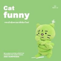ราคา ตุ๊กตาแมวน่ารัก สำหรับของขวัญวันเกิดและคริสต์มาส ส่งมอบความสุขให้คนพิเศษ (48851178537)