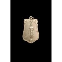 ราคา พระ25 พุทธศตวรรษ พิมพ์เสมา (43962105826)