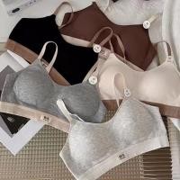 ราคา เสื้อชั้นในสปอร์ตบรา ไร้รอยต่อ ไม่มีโครงเหล็ก สวมใส่สบาย สไตล์ญี่ปุ่น แฟชั่นสําหรับผู้หญิง (24321572173)