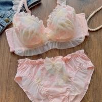 ราคา ญี่ปุ่นสาวหวานปักบางถ้วยชุดชั้นในชุดขนาดใหญ่ขนาดใหญ่ถ้วยชุดชั้นใน (29884679748)