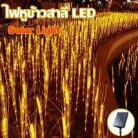 ราคา ไฟหูข้าวสาลี LED ส่องสว่าง ไฟต้นข้าว ไฟโซล่า ไฟแต่งสวน ไฟข้าว โคมไฟตั้งพื้น ไฟตกแต่งสวน (24386903661)