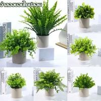 ราคา จำลองบอนไซปลอม กระถางบอนไซขนาดเล็ก พืชจำลอง ต้นไม้ปลอมเดสก์ท็อปเครื่องประดับ ของตกแต่งบ้าน (24741681990)