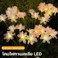 ราคา โคมไฟคาเมลเลีย 6 8 LED ไฟโซล่าเซลล์ ไฟสวน ประหยัดไฟ กันน้ำ ไฟตกแต่งโซล่าเซลล์ (48701239264)