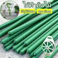 ราคา ใช้งาน 50 ปีก็ไม่พัง ไม้ค้ำต้นไม้ 5 10แท่ง ท่อเหล็กPE ไม้ค้ำยันต้นไม้ เสาค้ำต้นไม้ ค้างผัก ยาว60 90ซม หนา8มม (26609914953)