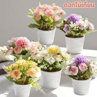 ราคา ดอกไม้เทียม การตกแต่งช่อดอกไม้ จำลองบอนไซปลอม กระถางต้นไม้ขนาดเล็ก ของตกแต่งบ้าน (42314108676)