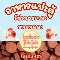 ราคา อาหารปลาบอลลูน 110 กรัม แบบแปะตู้ บอลลูนจุ๊บจุ๊บ หนอนแดงเม็ด โปรตีนสูง42 (29172406293)