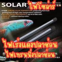 ราคา ไฟโซลาร์ ไฟปลาช่อน ไฟเทรนนิ่ง ไฟแทนนิ่งปลาช่อน เร่งแดง ไม่เปลี่ยนสีน้ำ ไม่หลอกตา 26เซน สำหรับตู้12นิ้ว (57751243497)
