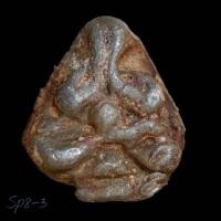 ราคา พระปิดตา พุงป่อง หลวงปู่ศุขวัดปากคลองมะขามเฒ่า เนื้อตะกั่วสภาพตามรูป rs (43018363970)