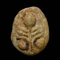 ราคา พระปิดตา พิมพ์จั๊กจั่น กรุอัมพวาธนบุรี ปี2450 sp 5 (41508369985)