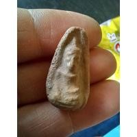 ราคา พระบ้าน เก่า ราคาวัดใจ เน้นขายไวๆ ได้พระตามรูป ตรงปก e15 (29875071403)