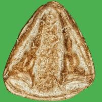 ราคา พระนางกำแพงคู่ เนื้อดิน กรุกำแพงเพชร พระแท้ เนื้อเก่าดูง่าย ปีลึกเก่าถึงยุค รับประกันพระแท้ d14 (26772752911)