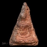 ราคา พระนางพญา พิมพ์เข่าตรง เนื้อเก่ามีอายุหลายร้อยปี ไม่ทราบที่ เป็นพระบ้าน พิจารณาตามรูปครับ slft 1 (41426002108)