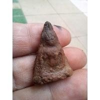 ราคา พระนางพญา สมเด็จนางพญา พระกรุ พระบ้านแท้ ราคาวัดใจสภาพตามรูป ได้ของตรงปกแน่นอน sp2 N2 (28536724710)