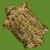 ราคา เต่าโบราณ เนื้อตะกั่วเก่า ปีลึก ก่อนปี2500 ไม่ทราบเกจิ เก่าแท้ดูง่าย น่าสะสม d16 (27323033189)