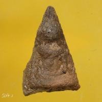 ราคา พระนางพญา พิมพ์เข่าตรง เนื้อเก่ามีอายุหลายร้อยปี ไม่ทราบที่ เป็นพระบ้าน พิจารณาตามรูปครับ slft 1 (50550562674)