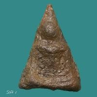 ราคา พระนางพญา พิมพ์เข่าตรง เนื้อเก่ามีอายุหลายร้อยปี ไม่ทราบที่ เป็นพระบ้าน พิจารณาตามรูปครับ slft 1 (48350582666)