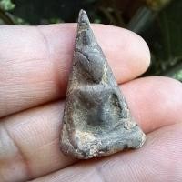 ราคา พระนางพญา พิมพ์ใหญ่ กรุวังมะสะ อำเภอพรหมพิราม พิษณุโลก สร้างสมัยพระนเรศวร องค์นี้พิเศษเนื้อบางหายาก รับประกันพระแท้d14 (28122158873)