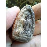 ราคา ขุนแผน กรุสุโขทัย เก่าแท้ ผิวสวย รัปประกันแท้ sp1 (27234607075)