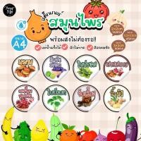 ราคา สติกเกอร์ฉลากสินค้ากันน้ำ 100 A4 มะตูม อัญชันมะนาว ใบย่านาง สามสหาย ใบบัวบก อื่นๆ (20755574533)