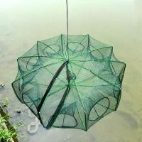 ราคา คุณภาพสูงดักปลาดักกุ้ง พับเก็บได้ 6 8 10 ช่อง ลอบดักปลา ลอบกุ้งฝอย ทนทาน ใช้งานง่าย ดักสัตว์น้ำขนาดเล็ก ร้านค้าไทย (45001552145)