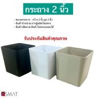 ราคา กระถางต้นไม้ กระถางแคคตัส 2 นิ้ว กระถางพลาสติก (55151150067)
