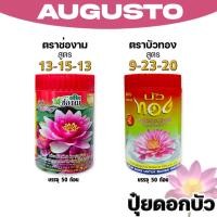 ราคา ปุ๋ยใส่ดอกบัว บัวทอง ช่องาม แบบกระปุก เร่งดอกสีสด ดอกใหญ่ แตกหน่อไว บำรุงรากดี ใบเขียวเข้ม เหมาะกับบัวทุกพันธ์ (53651579367)