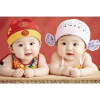 ราคา มังกรฟีนิกซ์ สติ๊กเกอร์ติดผนังสำหรับเด็กชาย พลางานศิลปะภาพวาดคู่ PDUX (49201106952)