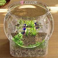 ราคา RUSSIK พิพิธภัณฑ์สัตว์น้ําตั้งโต๊ะ ตู้ปลาทนต่อการตก เพิ่มประสบการณ์การดูการตกแต่งปลาสวยงามมัลติฟังก์ชั่นที่ทนทาน (43125246299)