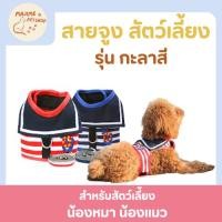 ราคา สายจูงสัตวืเลี้ยง น้องแมวและหมา รัดอก รุ่นกะลาสี ผ้านิ่มไม่ร้อน (43011569956)