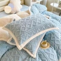 ราคา ปลอกหมอนตะไคร่น้ำ สองด้าน นุ่มและสบาย จากกำมะหยี่ เหมาะสำหรับฤดูหนาว (44901223186)