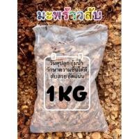 ราคา มะพร้าวสับ 1kg วัสดุผสมดินปลูกช่วยรักษาความชื้น ได้นานยิ่งขึ้น ไม้ดอกไม้ประดับผัก สวนครัว (23875699324)