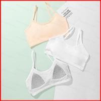 ราคา ชุดชั้นในและเสื้อกั๊กสไตล์เกาหลีสำหรับวัยรุ่น มัธยมต้น ทำจากผ้าฝ้ายแท้ rimle (47751180151)