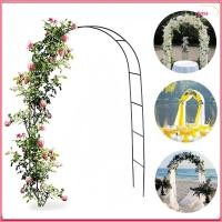 ราคา ไดนา ซุ้มผู้ถือดอกไม้ ศิลปะเหล็กปีนเขาพืชสนับสนุนลูกโป่ง โค้ง อุปกรณ์สร้างสรรค์สีดําสีขาวสีเขียว ทําเอง ดอกไม้กรอบประตูตกแต่งสวน (56950243473)