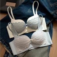 ราคา ลึก V ลูกไม้ ลายเสือดาว กดขึ้น บรา ไม่มีกรอบ สบาย เซ็กซี่ ชุดชั้นใน ผู้หญิง (53800242896)