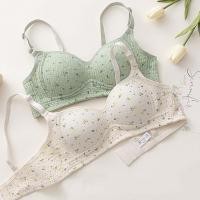 ราคา ชุดชั้นใน ดันทรง แบบบาง แต่งลูกไม้ ลายดอกไม้ สไตล์ญี่ปุ่น สําหรับวัยรุ่นผู้หญิง (23701476458)