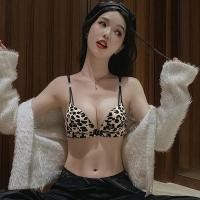 ราคา ชุดชั้นในดันทรง พิมพ์ลายเสือดาว แต่งลูกไม้ ไร้กรอบ ระบายอากาศ เปิดหลัง ป้องกันการหย่อนคล้อย เซ็กซี่ สําหรับผู้หญิง (25418977029)