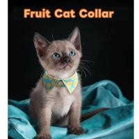 ราคา อุปกรณ์สัตว์เลี้ยง เครื่องประดับดอกไม้ ปลอกคอ ปลอกคอแมว กระดิ่ง เข็มขัดแมว (42525092929)