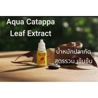 ราคา น้ำหมักปลากัด สูตรรวม วิตามินบำรุง ในขวดเดียว Aqua Catappa Leaf Extractเข้มข้น (40323306727)